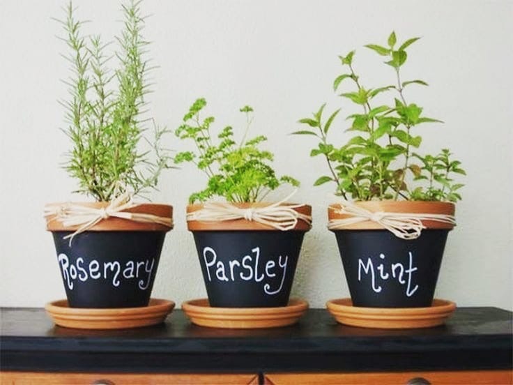 Saksı Tasarımları