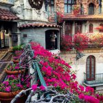 Balkon Çiçekleri