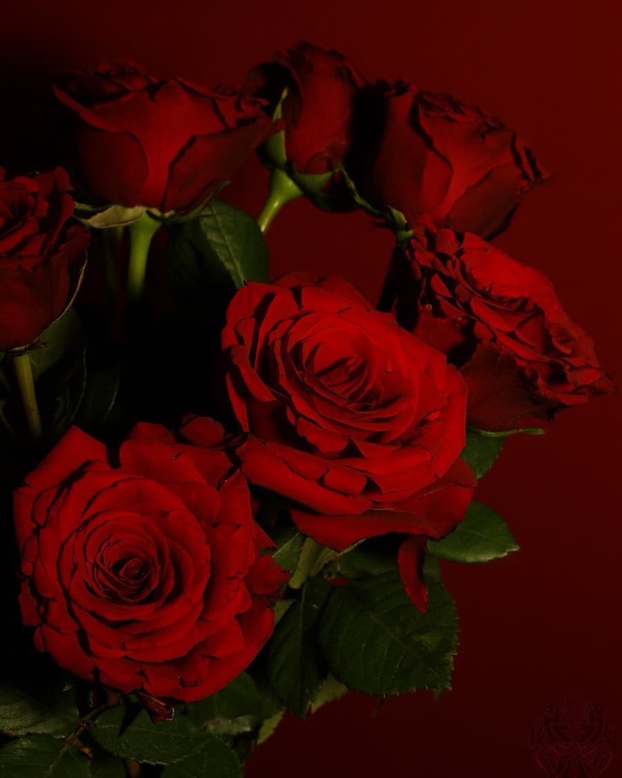 Romantik akşam yemeği masası güller