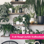 Evde Hangi Çiçekler Kullanılmalı