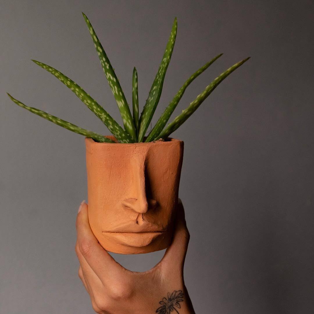 Saç Dökülmesine İyi Gelen Çiçekler Aloe Vera