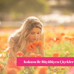 Güzel Kokan Çiçekler