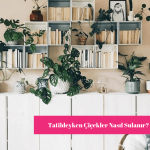 Tatildeyken Çiçekler Nasıl Sulanır