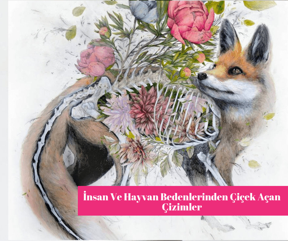 İnsan ve Hayvan Bedenlerinden Çiçek Açan Çizimler