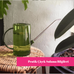 Çiçek Sulama Pratik Bilgiler