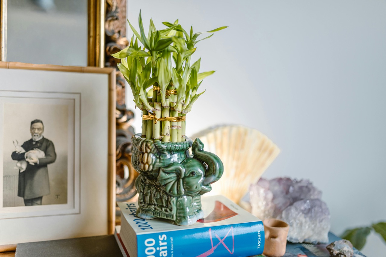 çiçek feng shui